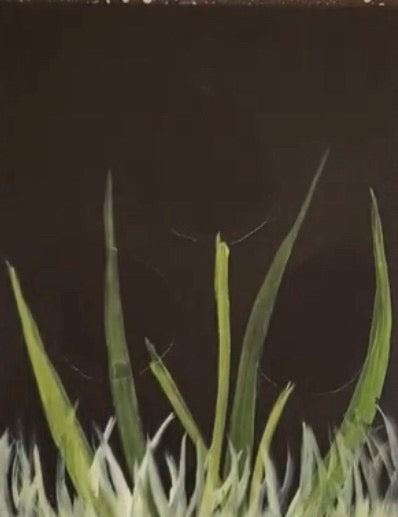 Easy Tulips Acrylic Painting Kit