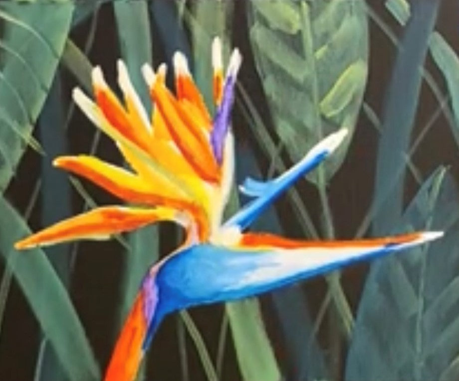 Bird of Paradise