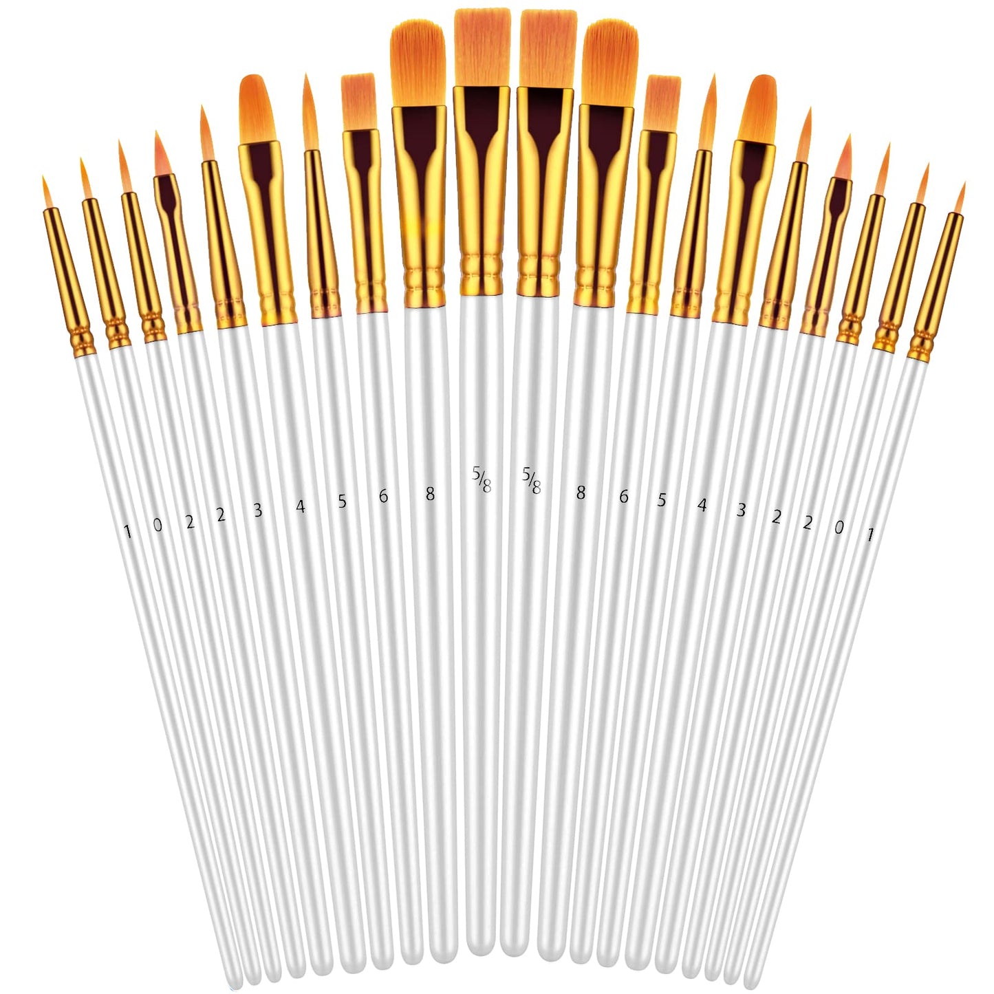 20 Piece Paint Brushes Set for Acrylic Painting (Assorted Colors Available)