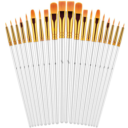 20 Piece Paint Brushes Set for Acrylic Painting (Assorted Colors Available)