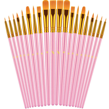 20 Piece Paint Brushes Set for Acrylic Painting (Assorted Colors Available)