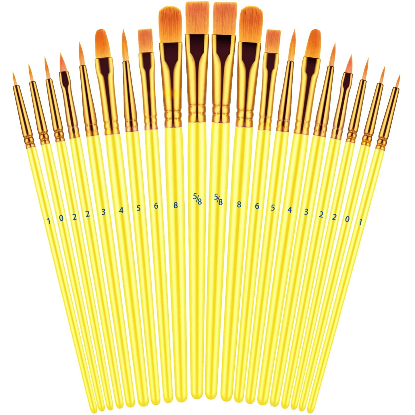 20 Piece Paint Brushes Set for Acrylic Painting (Assorted Colors Available)