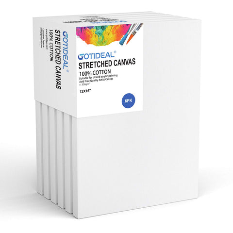 White Primed Stretched Canvas - 10 Pack (Multiple Sizes Available)