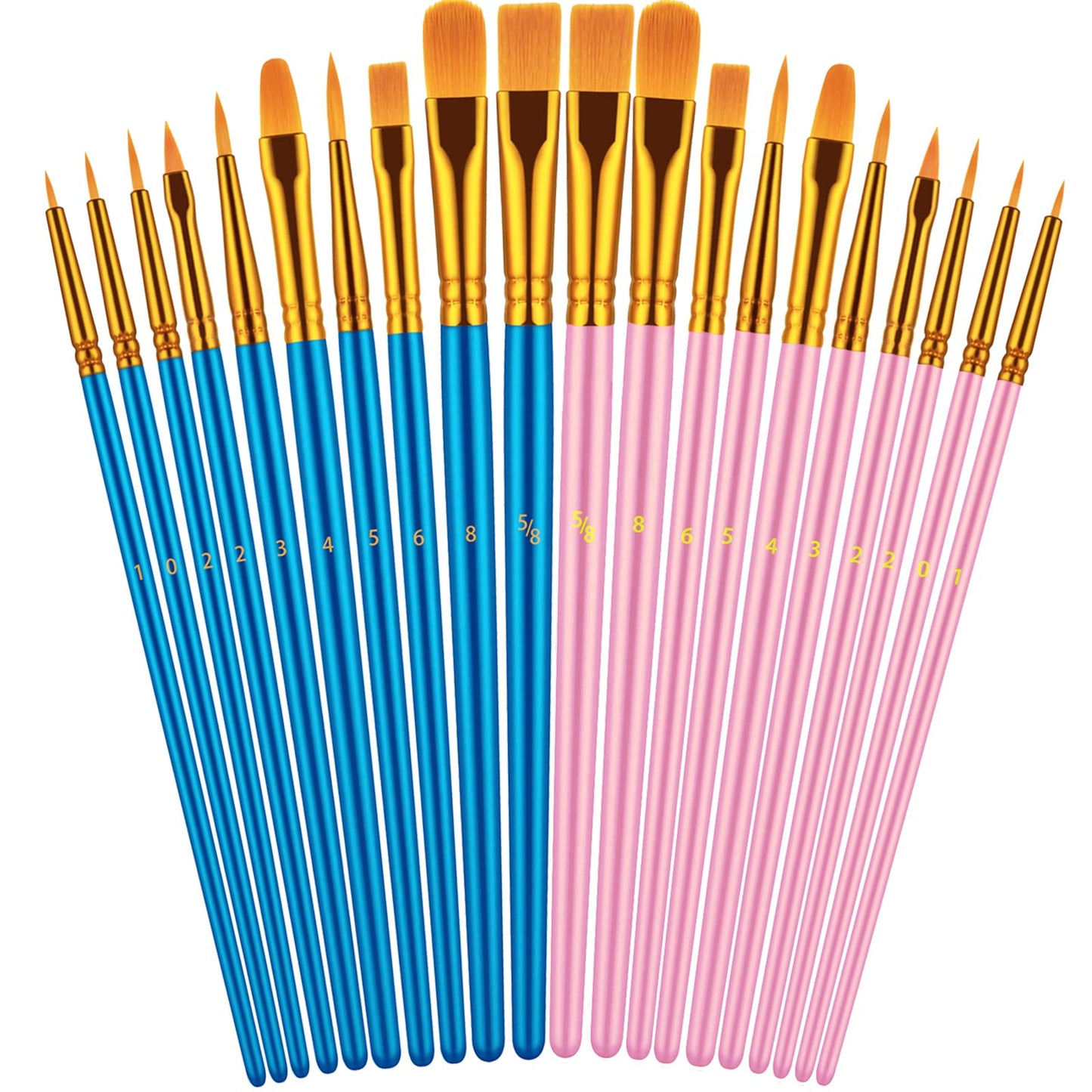 20 Piece Paint Brushes Set for Acrylic Painting (Assorted Colors Available)