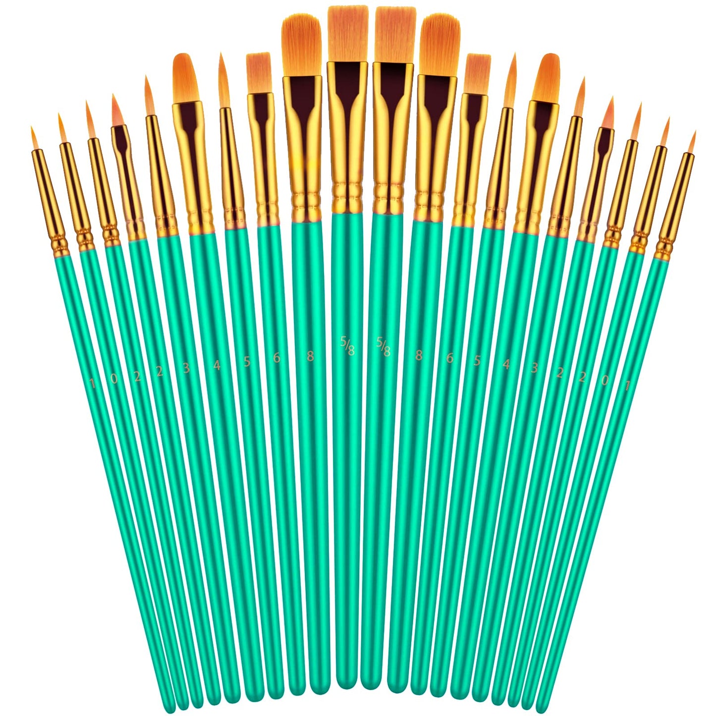 20 Piece Paint Brushes Set for Acrylic Painting (Assorted Colors Available)