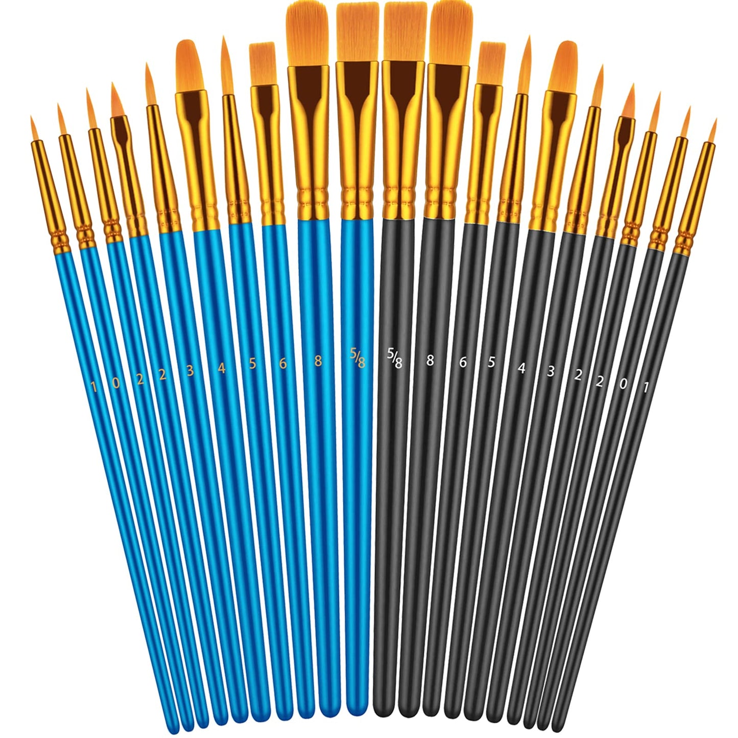 20 Piece Paint Brushes Set for Acrylic Painting (Assorted Colors Available)