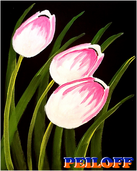 Soft Tulips